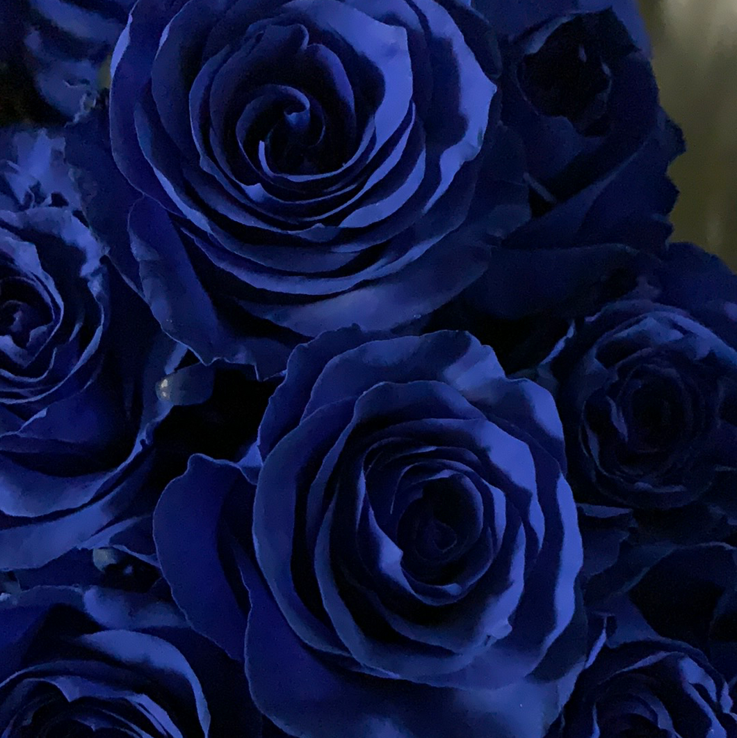 Rose bleu